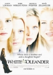 Weißer Oleander