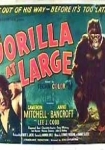 Gorilla at Large