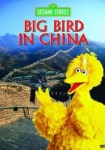Big Bird in China