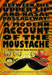 Between the Upper Lip and Nasal Passageway A Modern Account of the Moustache